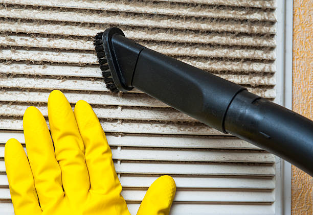 Best Affordable Duct Cleaning Services  in Creola, AL